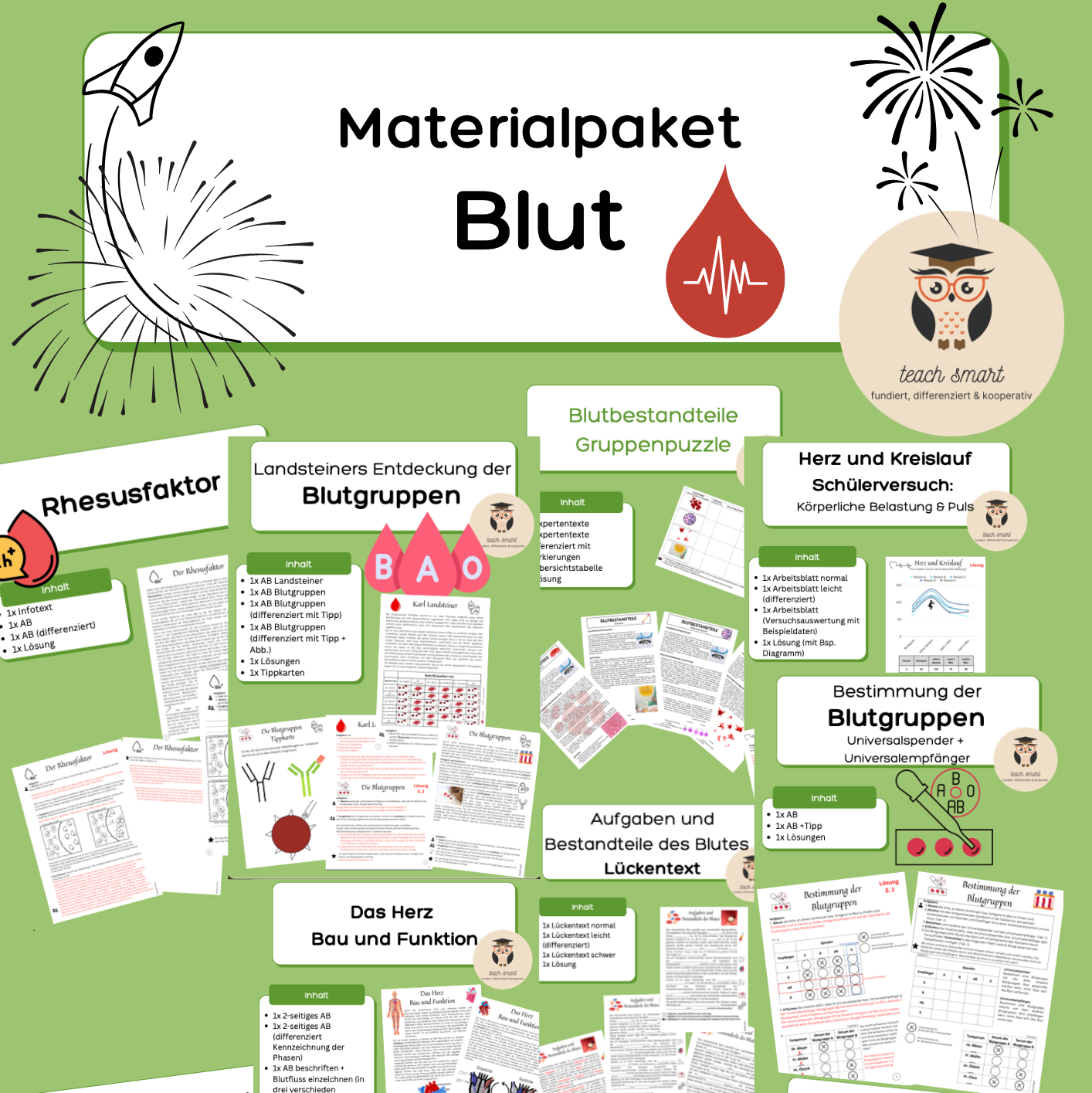 Materialpaket: Unterrichtsreihe Blut Jahrgang 8 - 10 Biologie